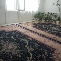 اجاره خونه در شمس اباد تک کلید طبقه بالا راه جداا