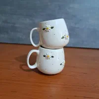 ظروف ماگ قوری قندان سرامیکی بابونه و میوه ای