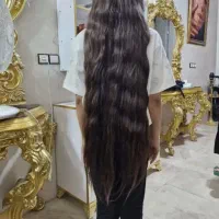 مو زیتونی