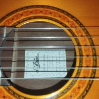 گیتار اریا ak80