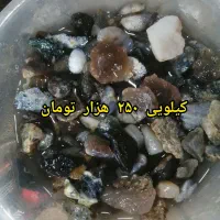سنگ قیمتی عقیق، شجر