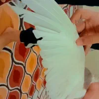طوقی درجه یک|پرنده|اهواز, کوی باهنر|دیوار