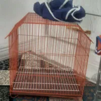 قفس  پرنده