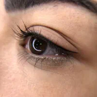 مدل میکروبلیدینگ و شیدینگ لب ریمو رایگان دستیار|خدمات آرایشگری و زیبایی|تهران, افسریه جنوبی|دیوار