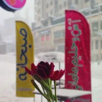 فرصت همکاری