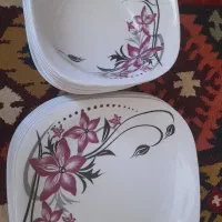 ۱۰عدد بشقابو۹عدد کاسه