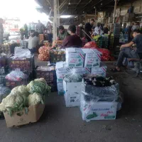 کارگر ساده برای میدان باررضوی