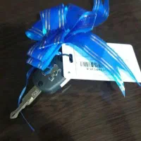 پژو207 TU5Pمدل ابان 1404سقف فلز