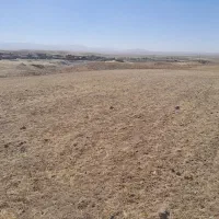 باغ انگور و زمین مسکونی ودامداری  شهر مالوجه|فروش زمین و ملک کلنگی|قروه, |دیوار