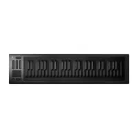 Roli seaboard rise49