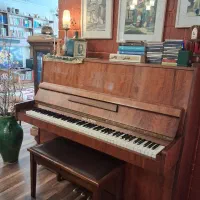 پیانو اکوستیک لهستانی