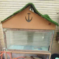 اکواریوم ماهی