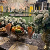 تالار شب یلدا تولد افتر نامزدی فضایی استثنایی|خدمات پذیرایی، مراسم|مشهد, وکیلآباد|دیوار