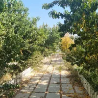 ملک و زمین|فروش زمین و ملک کلنگی|محمدشهر, محمدشهر|دیوار