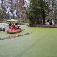 تورگیلان گردی|تور و چارتر|تهران, قیطریه|دیوار