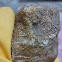 شهاب سنگ قیمتی