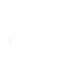 راننده مینی بوس