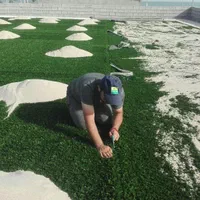 بزرگترین انبار چمن مصنوعی در غرب تهران|خدمات باغبانی و درختکاری|تهران, شهر زیبا|دیوار