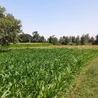 فروش زمین ۱۸۰۰ متری سند دار