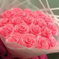گل رز روبانی