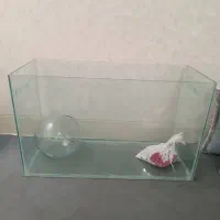 آکواریوم نو و سالم|ماهی|شیراز, شهرک مفتح|دیوار