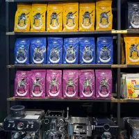 پخش انواع دان قهوه