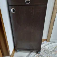 جا کفشی