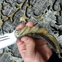 چاقو کلکسیونی|کوهنوردی و کمپینگ|جوانرود, |دیوار