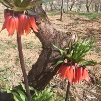 نیازمندوام تماس بگیره