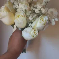 گل عروس