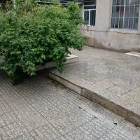 فروش خانه ویلایی ۱۴۰ متری ۲ خوابه|فروش خانه و ویلا|شازند, |دیوار