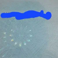 سیدوحیدطباطبائی رضائی