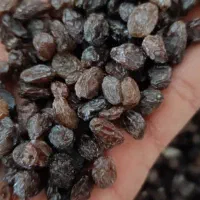 کشمش مویز و بهک