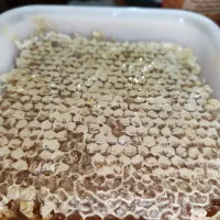 عسل طبیعی سبلان|خوردنی و آشامیدنی|تهران, ایرانشهر|دیوار