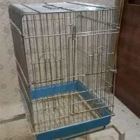 قفس پرنده