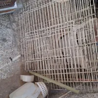 قفس پرنده سایز بزرگ