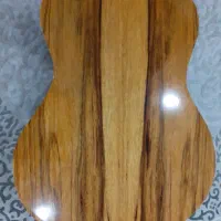 گیتار التا نو فروشی