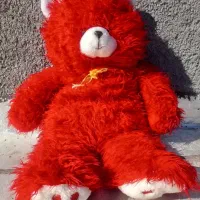 خرس ولنتاین