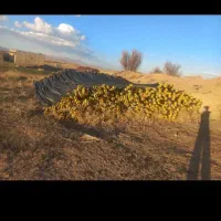 لوله پلی اتیلن نیوفیت