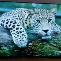 تلویزیون ال ای دی ۵۰اینج مدیا استار اندروید|تلویزیون و پروژکتور|آبادان, |دیوار