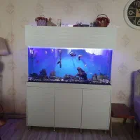 آکواریم شیشه خم وارداتی