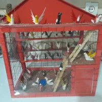 قفس پرنده دکوری