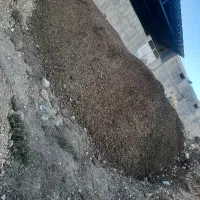 کود. گوسفندی..درجه یک صاف صاف و نرم