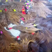 خرید موهای بانوان