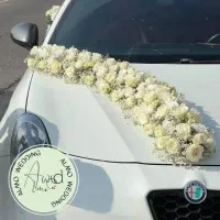 اجاره ماشین عروس با راننده|خودرو اجاره‌ای|شیراز, معالی‌آباد|دیوار