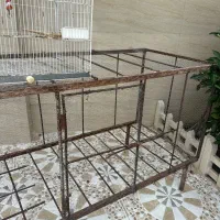 قفس مرغ و خروس