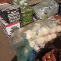 کارگر میدان میوه تره بار مرکزی تهران|استخدام خدمات فروشگاه و رستوران|تهران, میدان میوه و ترهبار مرکزی|دیوار