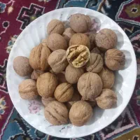 گردو تویسرکان