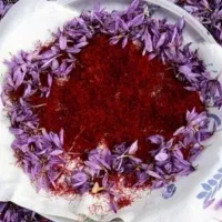 ده گرم و بیشتر