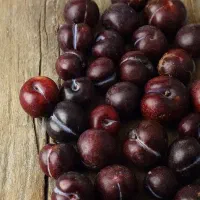 پیشفروش نهال شناسه دار آلو پاییزه